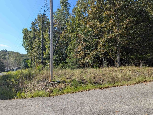 L20,21,22 B6 Lakota Trace, Cherokee Village, AR 72529