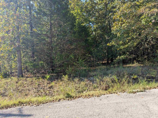 L20,21,22 B6 Lakota Trace, Cherokee Village, AR 72529
