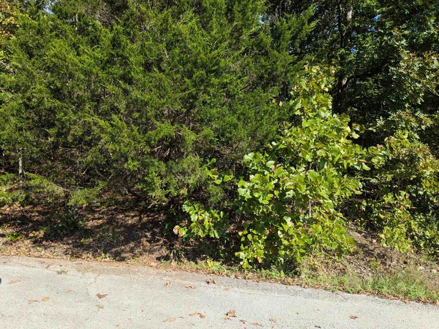 L20,21,22 B6 Lakota Trace, Cherokee Village, AR 72529