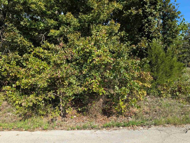 L20,21,22 B6 Lakota Trace, Cherokee Village, AR 72529