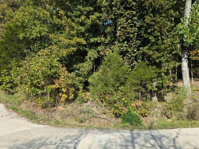 L20,21,22 B6 Lakota Trace, Cherokee Village, AR 72529