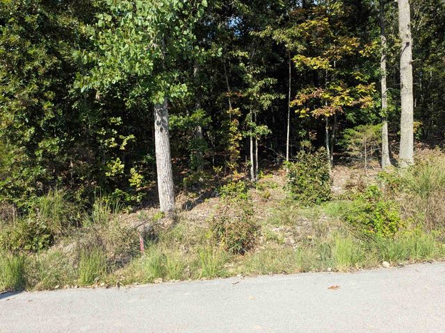 L20,21,22 B6 Lakota Trace, Cherokee Village, AR 72529