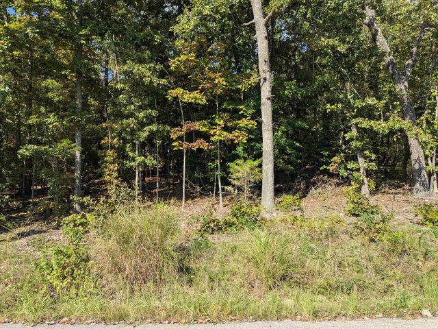 L20,21,22 B6 Lakota Trace, Cherokee Village, AR 72529