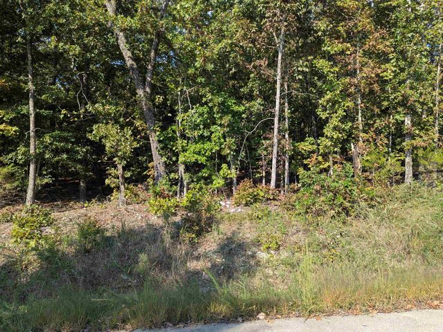 L20,21,22 B6 Lakota Trace, Cherokee Village, AR 72529