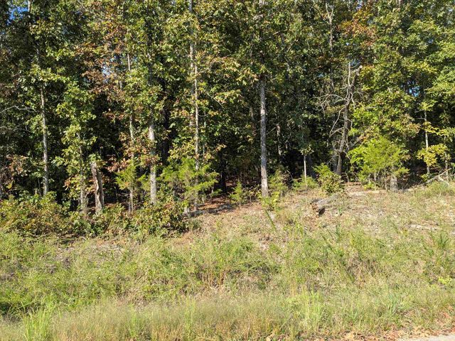 L20,21,22 B6 Lakota Trace, Cherokee Village, AR 72529