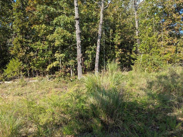 L20,21,22 B6 Lakota Trace, Cherokee Village, AR 72529