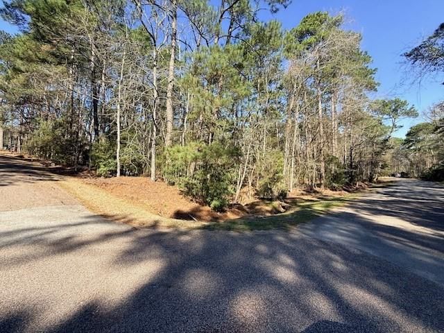 2 Helena Court, Coldspring, TX 77331