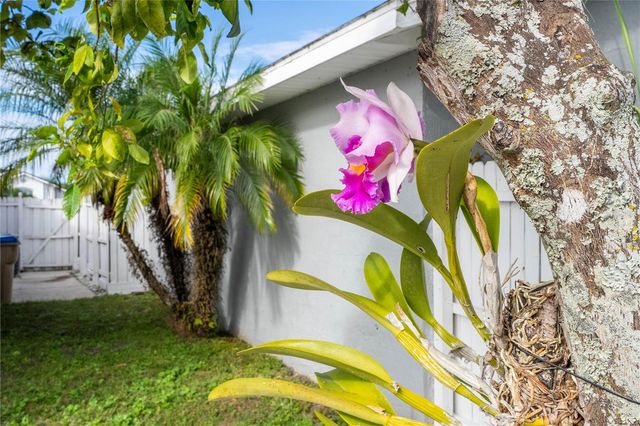 3219 BREWSTER DRIVE, Kissimmee, FL 34743