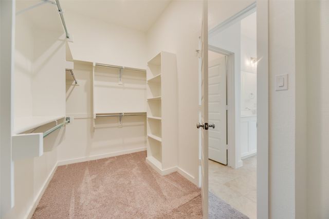 15543 Fringe Tree Road, Frisco, TX 75035