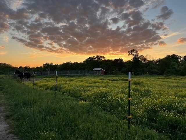 9.79 Acres E McNelly Road, Bentonville, AR 72712