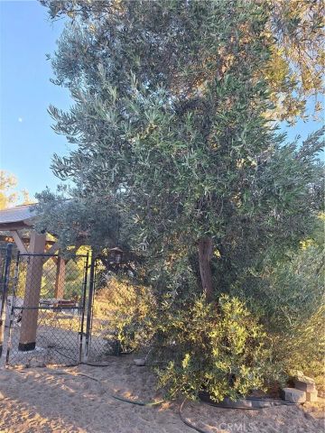 31312 Indian Oak, Acton, CA 93510
