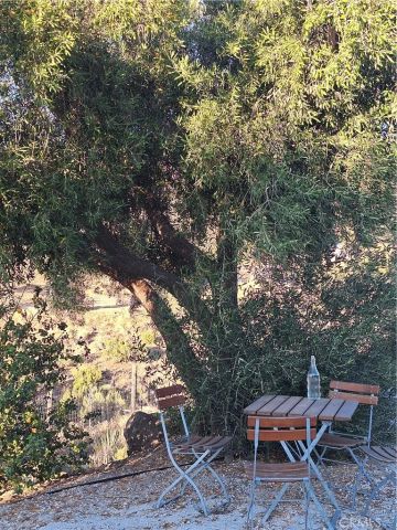31312 Indian Oak, Acton, CA 93510