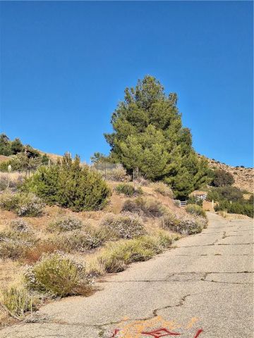 31312 Indian Oak, Acton, CA 93510