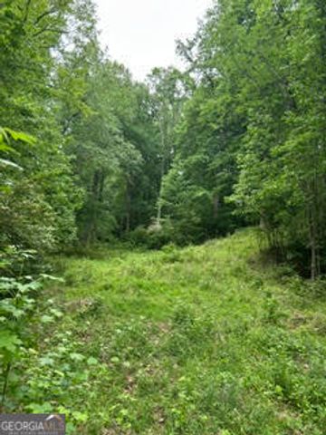 0 Log Cabin Road, Cumming, GA 30028