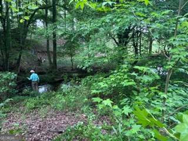 0 Log Cabin Road, Cumming, GA 30028