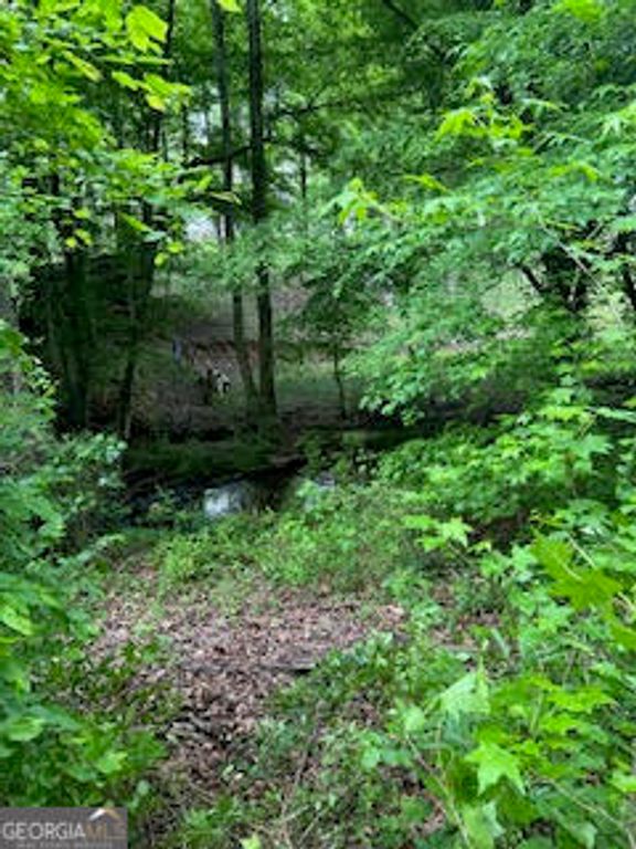 0 Log Cabin Road, Cumming, GA 30028