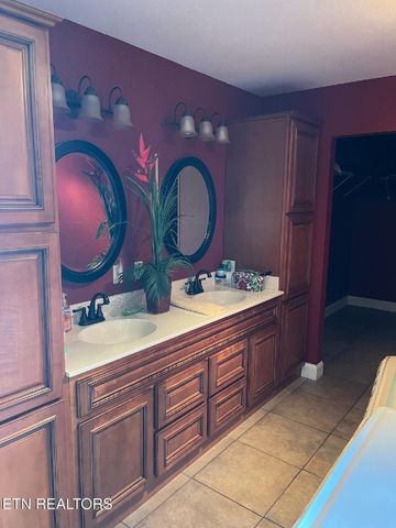 812 New Clear Branch Rd, Rocky Top, TN 37769
