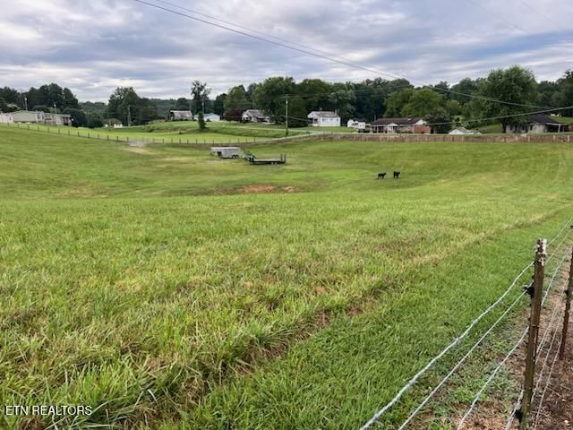 812 New Clear Branch Rd, Rocky Top, TN 37769