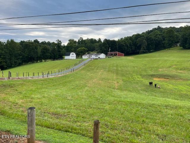 812 New Clear Branch Rd, Rocky Top, TN 37769