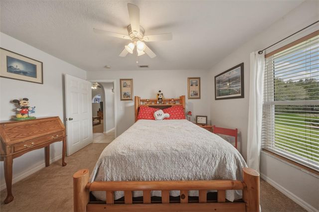 11340 ALAMEDA SANDRA DRIVE, Clermont, FL 34711
