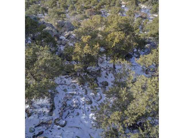 2443 Hall Ln, Fort Garland, CO 81133