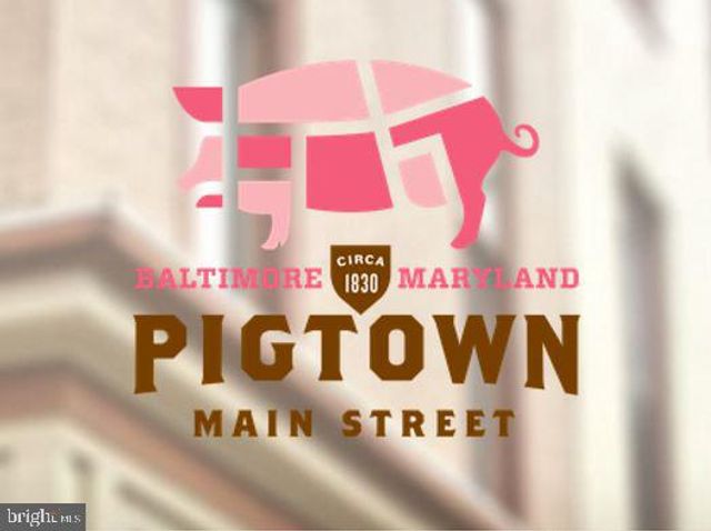1101 BAYARD ST, Baltimore, MD 21223