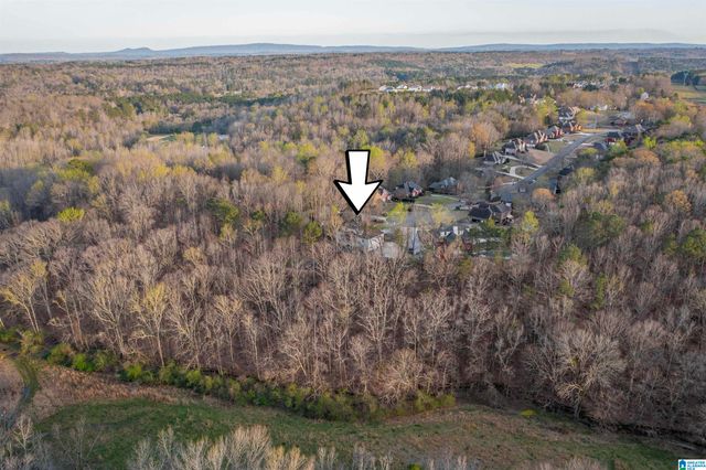 6740 CLEAR CREEK CIRCLE, Trussville, AL 35173