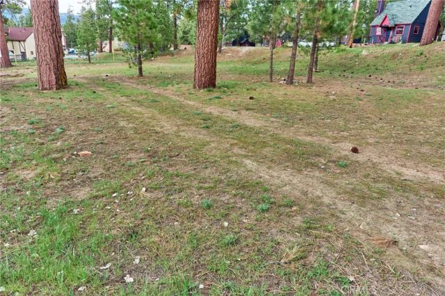 545 Wren, Big Bear Lake, CA 92315