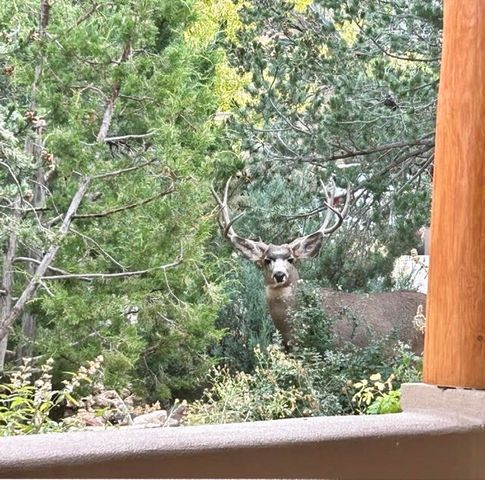 850 Paseo De Don Carlos, Santa Fe, NM 87501