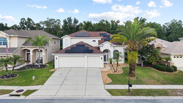 3602 MORGANS BLUFF COURT, Land O Lakes, FL 34639