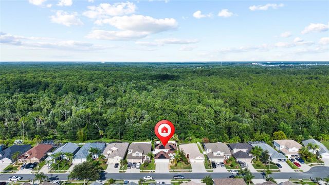3602 MORGANS BLUFF COURT, Land O Lakes, FL 34639