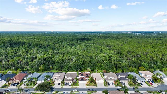 3602 MORGANS BLUFF COURT, Land O Lakes, FL 34639