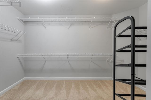 517 Nelliefield Trail, Charleston, SC 29492