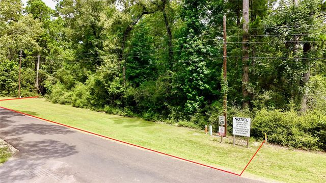 TBD China Berry Street, Onalaska, TX 77360