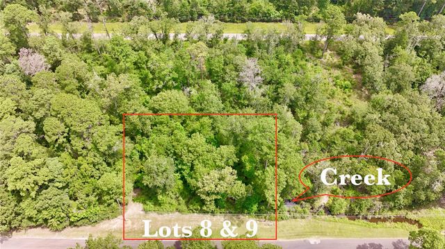 TBD China Berry Street, Onalaska, TX 77360