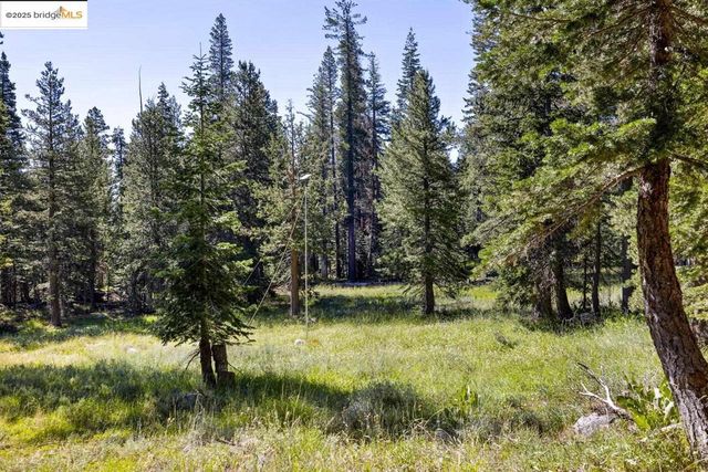 1 Eagle Meadow, Strawberry, CA 95375