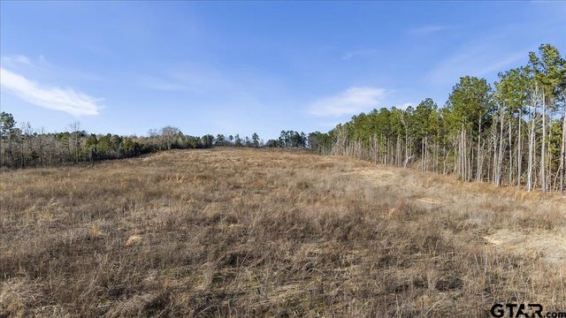 12348 Farm to Market 2767, Tyler, TX 75708