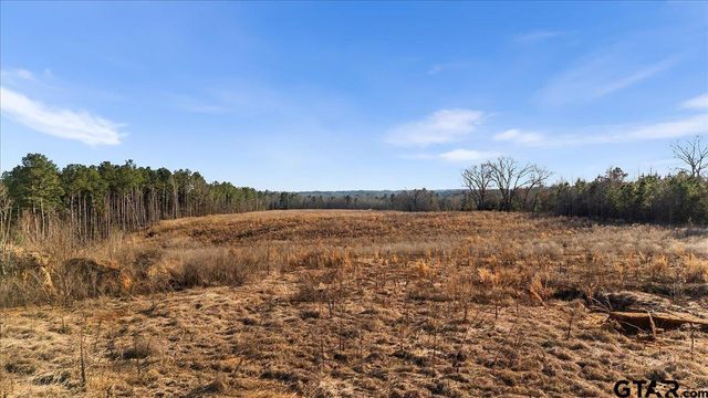 12348 Farm to Market 2767, Tyler, TX 75708