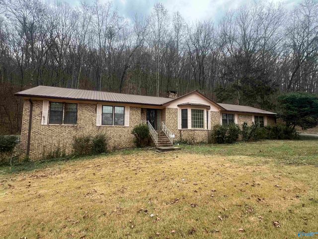 3719 Wilborn Avenue NE, Fort Payne, AL 35967