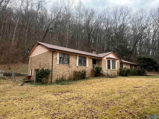 3719 Wilborn Avenue NE, Fort Payne, AL 35967
