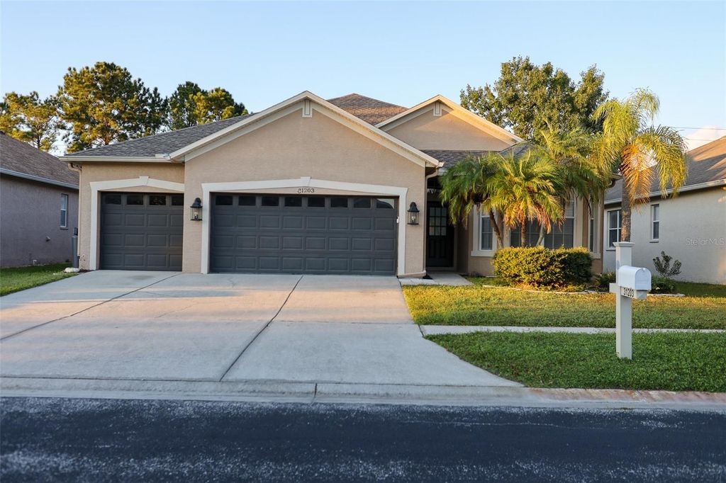 31203 ANNISTON DRIVE, Wesley Chapel, FL 33543