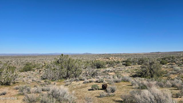 Valyermo Road, Pearblossom, CA 93553