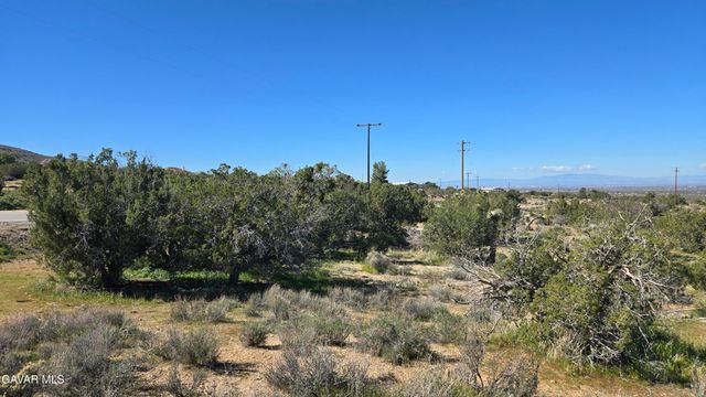 Valyermo Road, Pearblossom, CA 93553