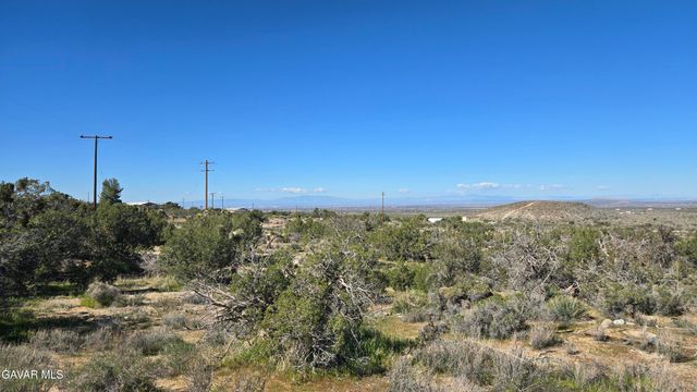 Valyermo Road, Pearblossom, CA 93553