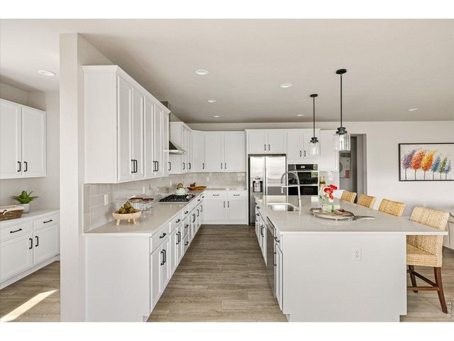 272 Orion Ct, Erie, CO 80516