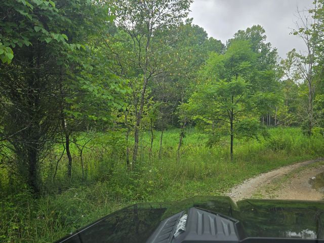 Lot 1,2,3,4 High Rock Road, Stanton, KY 40380