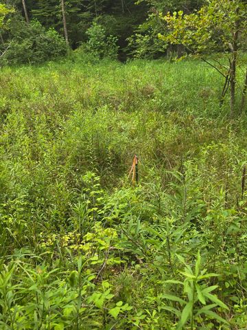 Lot 1,2,3,4 High Rock Road, Stanton, KY 40380