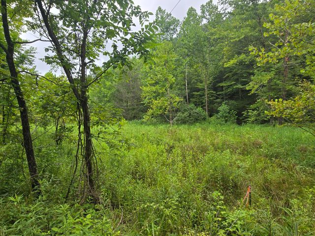 Lot 1,2,3,4 High Rock Road, Stanton, KY 40380