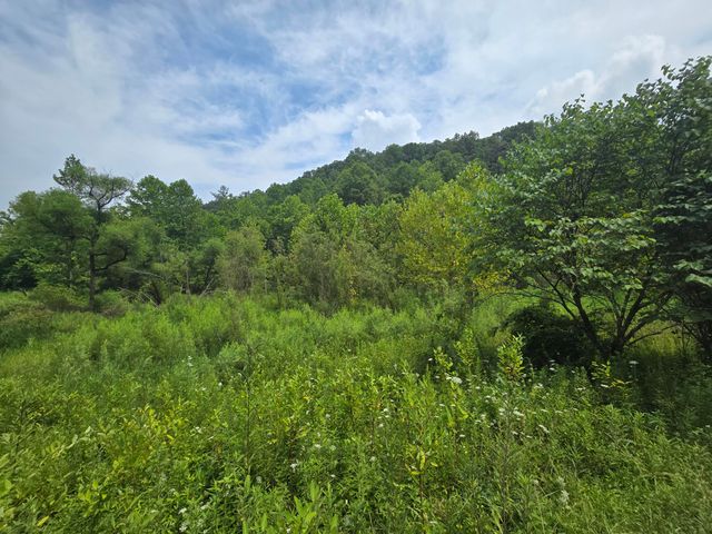 Lot 1,2,3,4 High Rock Road, Stanton, KY 40380