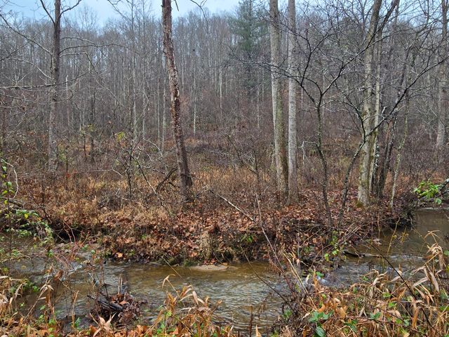 Lot 1,2,3,4 High Rock Road, Stanton, KY 40380